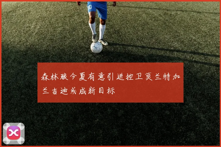 森林狼今夏有意引进控卫莫兰特加兰吉迪或成新目标